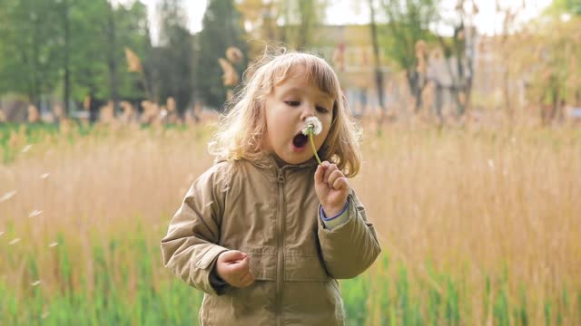 Happy cute light hair Little girl in coat blows on dandelion in the park. Slow motion