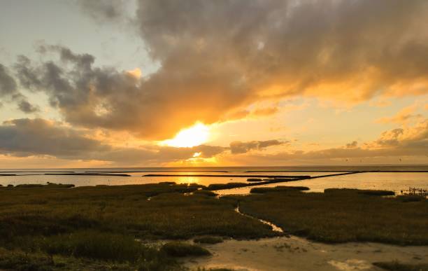 istock Sunset at the North Sea 1446828234