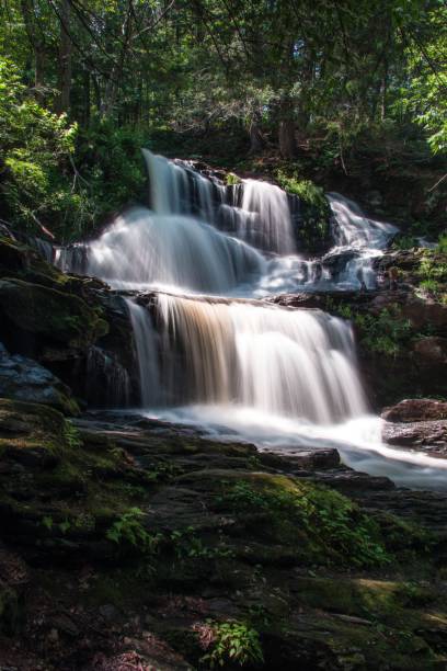 istock Beautiful view of a waterfall from rocks in a forest with trees 1446828547