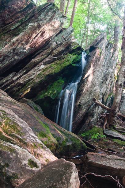 istock Beautiful view of a waterfall from rocks in a forest with trees 1446828551