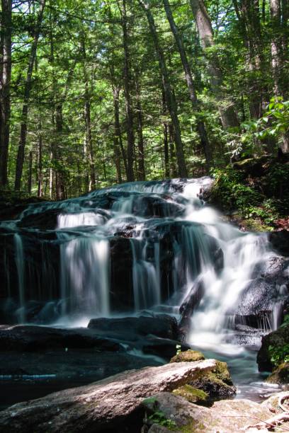 istock Beautiful view of a waterfall from rocks in a forest with trees 1446828555