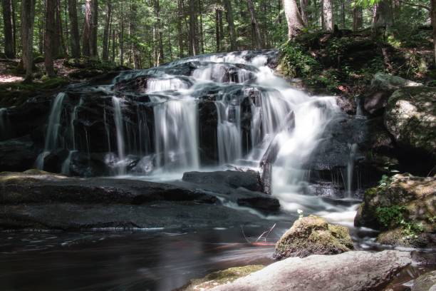 istock Beautiful view of a waterfall from rocks in a forest with trees 1446828559