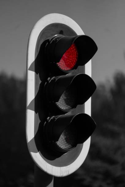 istock Red light flaming on a grayscale traffic light 1446828642