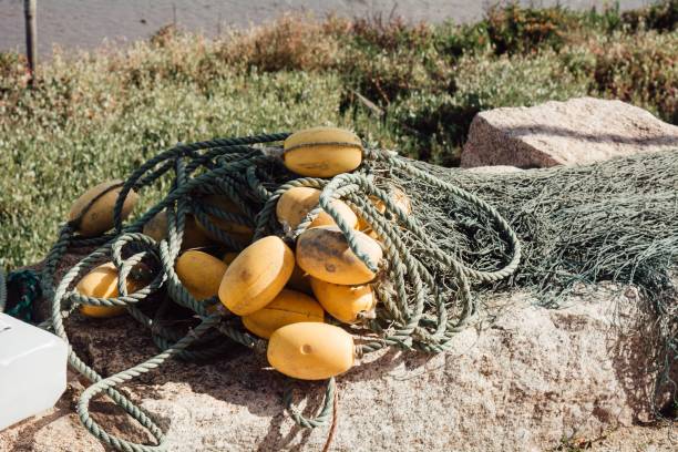 istock Closeup of fishing nets with float lines on a stone under the sunlight 1446828694