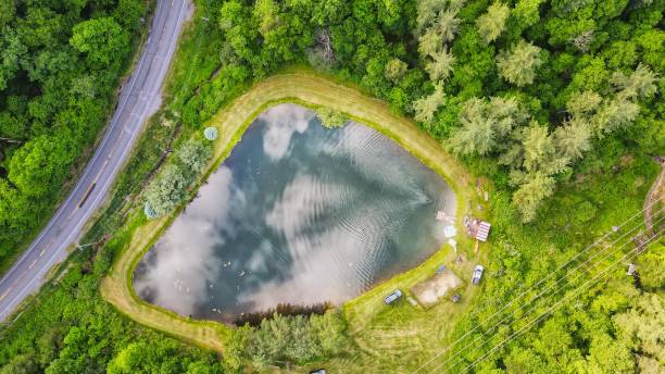 istock Aerial view of lake surrounded by dense trees 1446829073