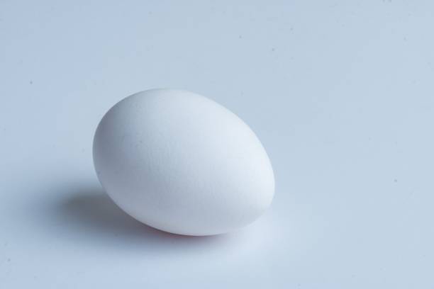 istock Closeup shot of a white egg on the white background 1446829672