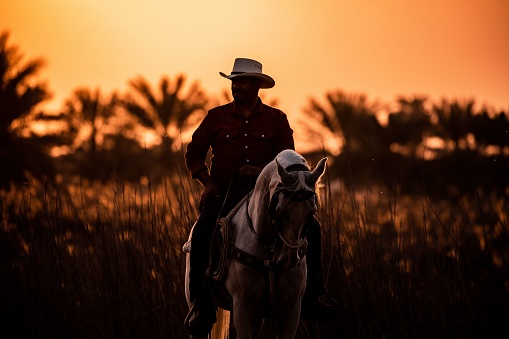 Man, Bahrain – June 01, 2022: A selective focus shot of a Bahraini cowboy on a horse in the field against blurred sunset sky background