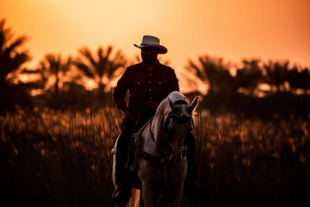 Selective focus shot of a Bahraini cowboy on a horse in field against blurred sunset sky background Man, Bahrain – June 01, 2022: A selective focus shot of a Bahraini cowboy on a horse in the field against blurred sunset sky background arab man riding horse stock pictures, royalty-free photos & images