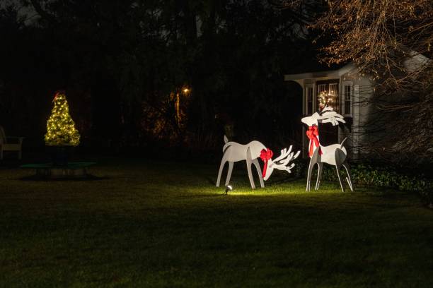istock Christmas tree and deer decorations in the garden at night 1446831459