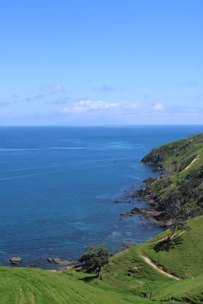 istock Hauraki Gulf sea views 1446831645