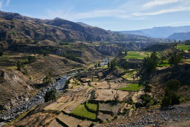 istock Beautiful view over the Colca Canyon, Peru 1446834720