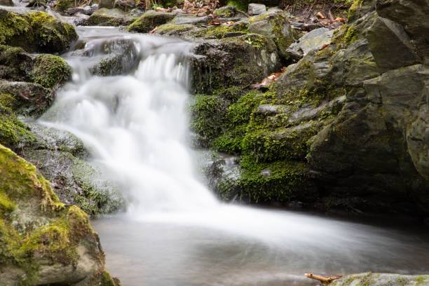 istock Long exposure of a scenic waterfall flowing down rugged rocks covered in moss 1446834955