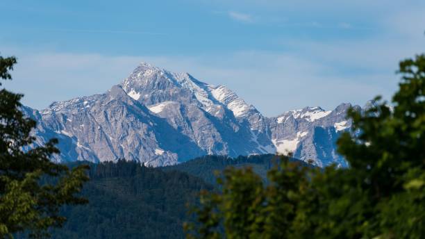 istock Stunning view of mountain peaks against forest 1446835148