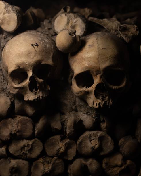 istock Vertical shot of catacombs bones, skeletons, skulls 1446835157
