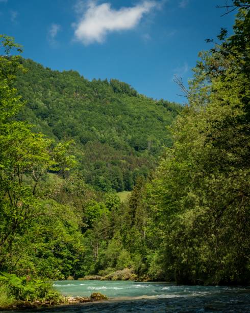 istock Tara River Canyon, the largest and deepest canyon in Europe 1446835219