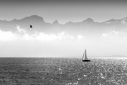 Grayscale of a sailing boat on the Geneva Lake with a bird flying in the foggy sky in Switzerland
