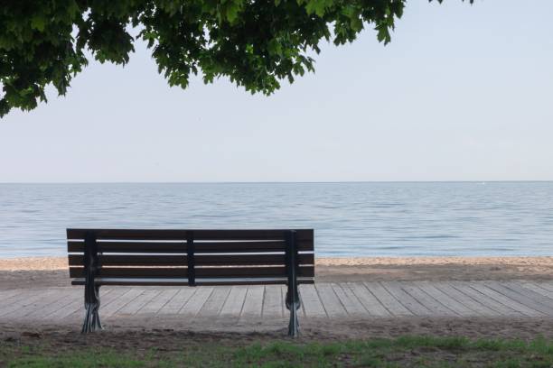 istock Empty wooden bench by the peaceful sea 1446835961