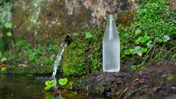 A bottle of fresh spring water on a wet rock near the source