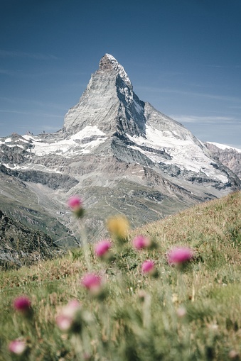 Matterhorn Mountain Peak View in Summer. Color Manipulation - Edited & Reduced Colors, Squared. Matterhorn Peak, Riffelalp, Matterhorn, Zermatt, Switzerland, Europe.