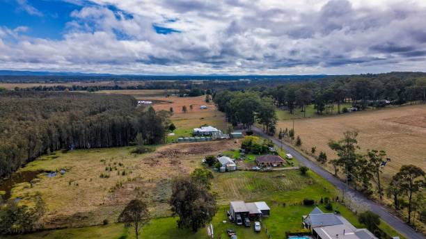 istock Rural landscape with a dense forest under a blue sky with fluffy clouds 1446837887