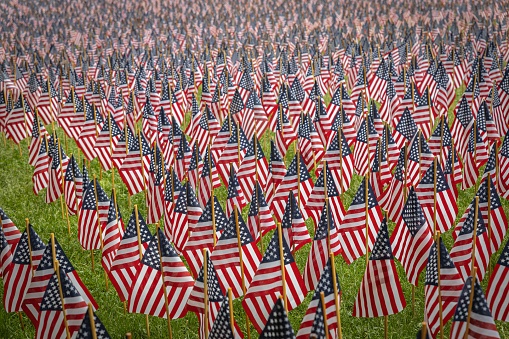 An American Flags at a memorial day event for fallen military service personnel