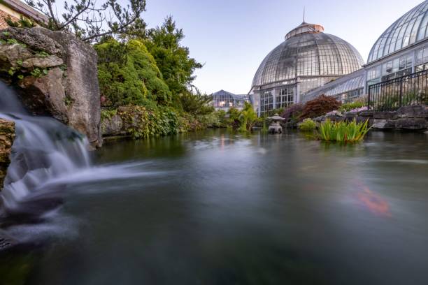Waterfall and lake in long exposure with Anna Scripps Whitcomb Conservatory in the background. The waterfall and lake in long exposure with Anna Scripps Whitcomb Conservatory in the background. belle isle stock pictures, royalty-free photos & images