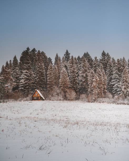istock Small cabin near the forest during winter 1446839487