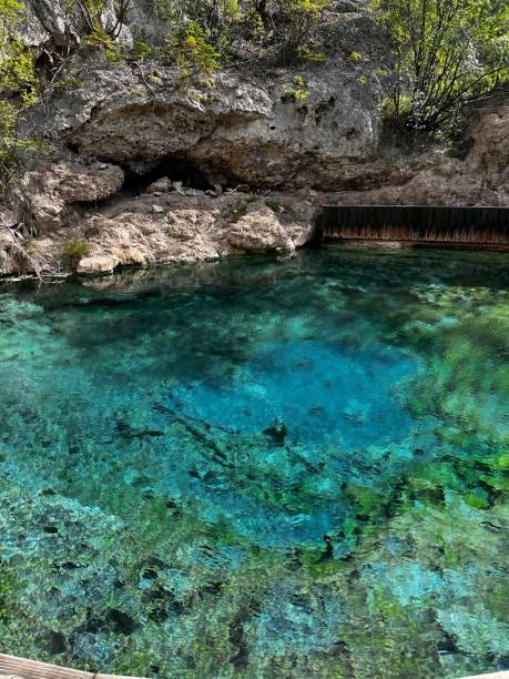 istock Vertical of a turquoise hot spring inside a rugged cave 1446839606