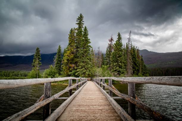 istock Wooden bridge over the river with dense trees in the background under a cloudy sky 1446840490