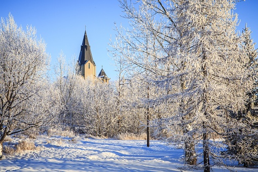 The snow-covered trees with a cathedral in the distance under a sunny blue sky