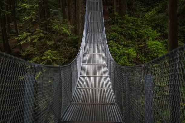 istock Suspension bridge surrounded by dense green trees 1446840617