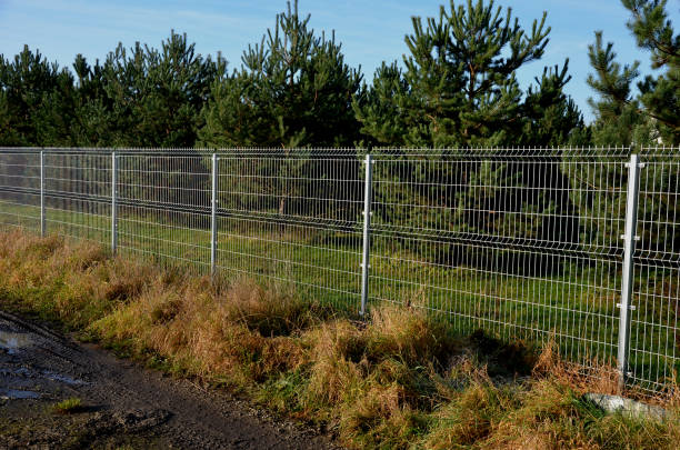 istock a solid wire fence encloses the garden. the welded wire meshes are strong and can be inserted between the prisms of the bars. the posts are concreted into the concrete slab fence, meadow 1446840725