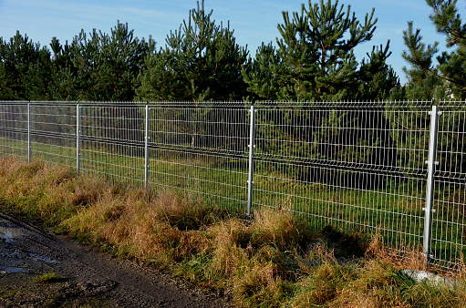 a solid wire fence encloses the garden. the welded wire meshes are strong and can be inserted between the prisms of the bars. the posts are concreted into the concrete slab fence, meadow, pinus sylvestris