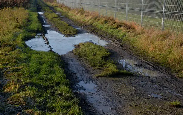 the waterlogged soil in the park does not receive water from the spring rain. poorly executed drainage or cracked automatic irrigation pipeline created a flood, a road accident near the road
