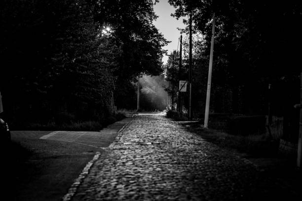 A grayscale of a cobblestone pathway in the park