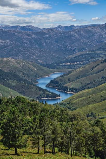 istock Aerial view of river surrounded by dense trees and mountains 1446842097
