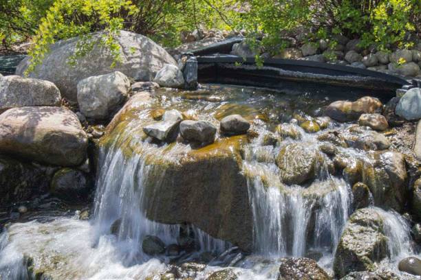 istock Stream with different shapes of rocks in a park 1446842203