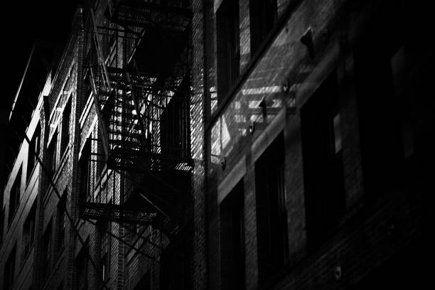 istock Grayscale shot of a building facade with fire escape 1446842351