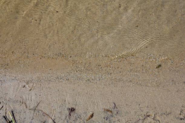 istock Sandy beach shore with flowing water 1446842640