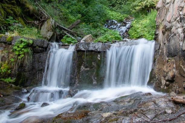 istock Beautiful waterfall from the green mountain 1446842726