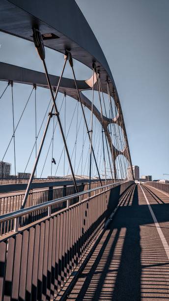 istock Vertical shot of a modern bridge in a city 1446843012