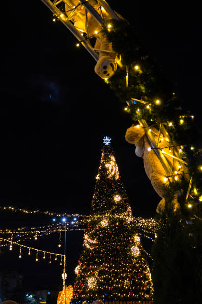 istock Illuminated christmas tree at night outside, christmas decoration 1446843320