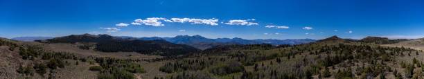 istock Panoramic shot of hills with evergreen forest trees under the bright blue sky 1446844278