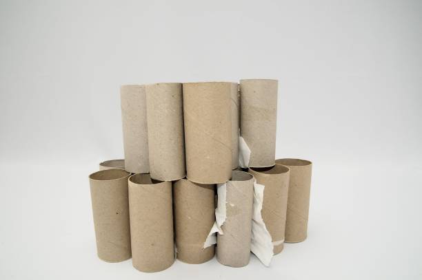 istock Stack of empty toilet paper rolls isolated on white background 1446845000