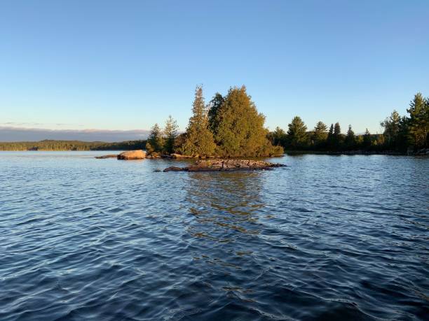 istock Scenic view of Skeleton Lake, Canada, on a sunny day 1446845108