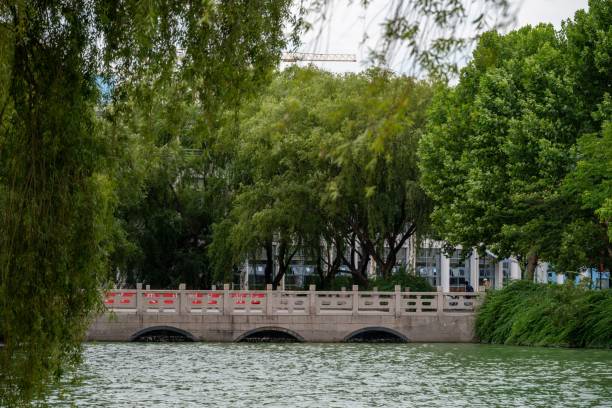 istock Small bridge in a city in summer 1446845200