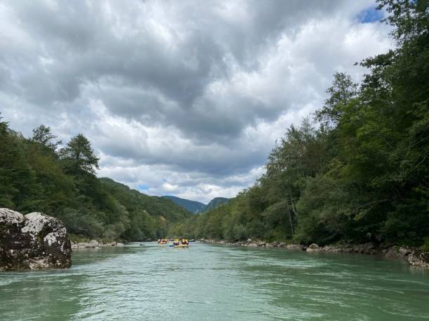 istock Scenic view of a river stream passing through a forest seen on a cloudy day 1446847270
