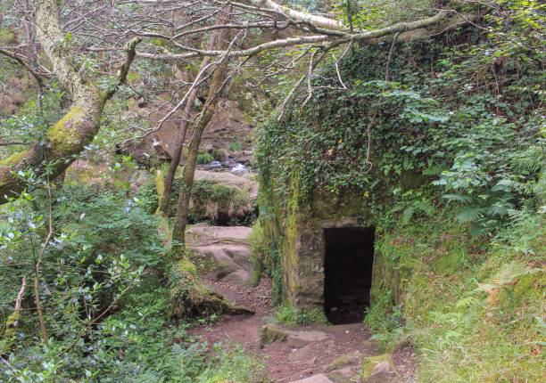istock a door in the middle of nature 1446847314
