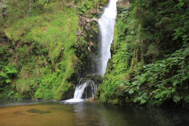 istock a waterfall with a little lake 1446847315