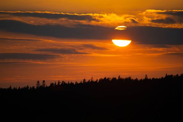 istock Beautiful sunset over the forest 1446847651